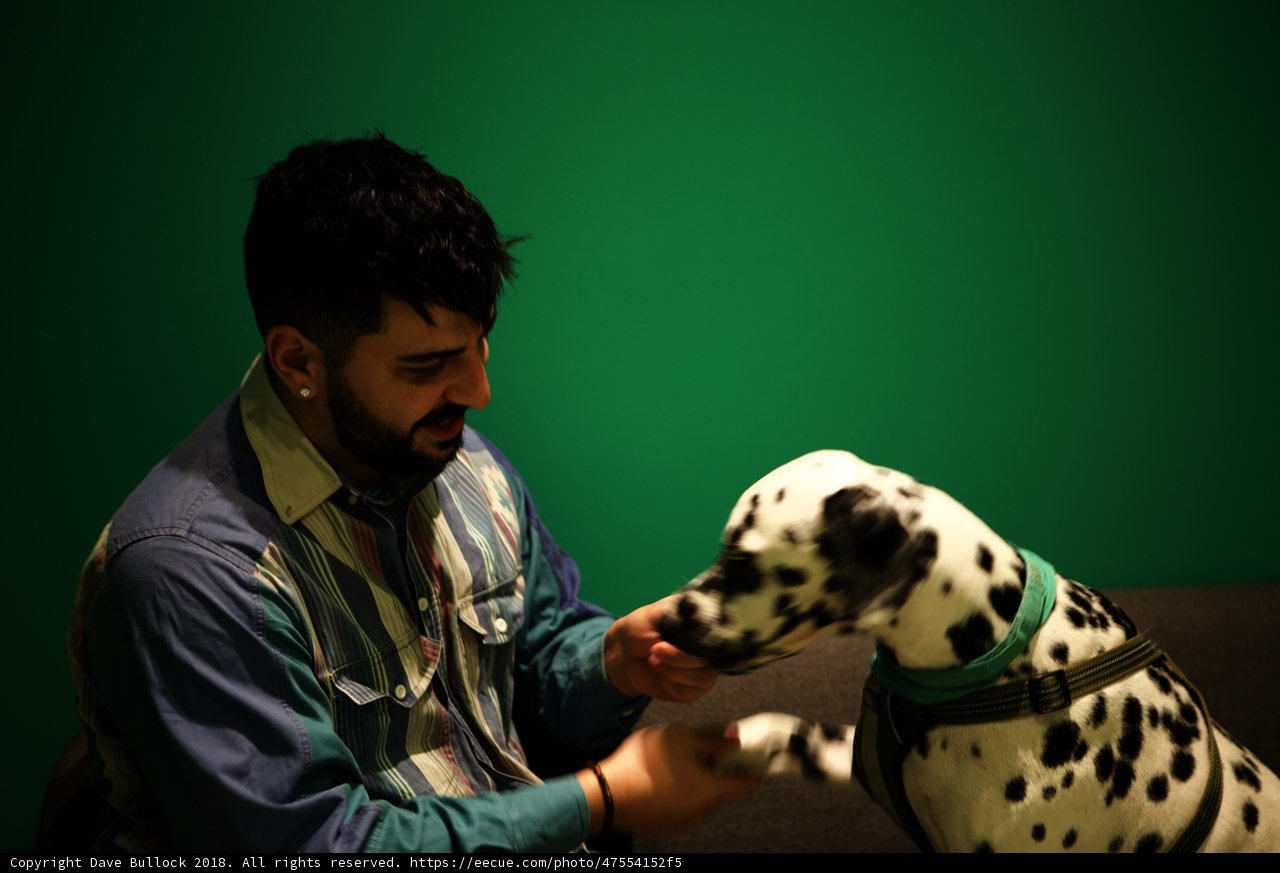 Man and his faithful Dalmatian