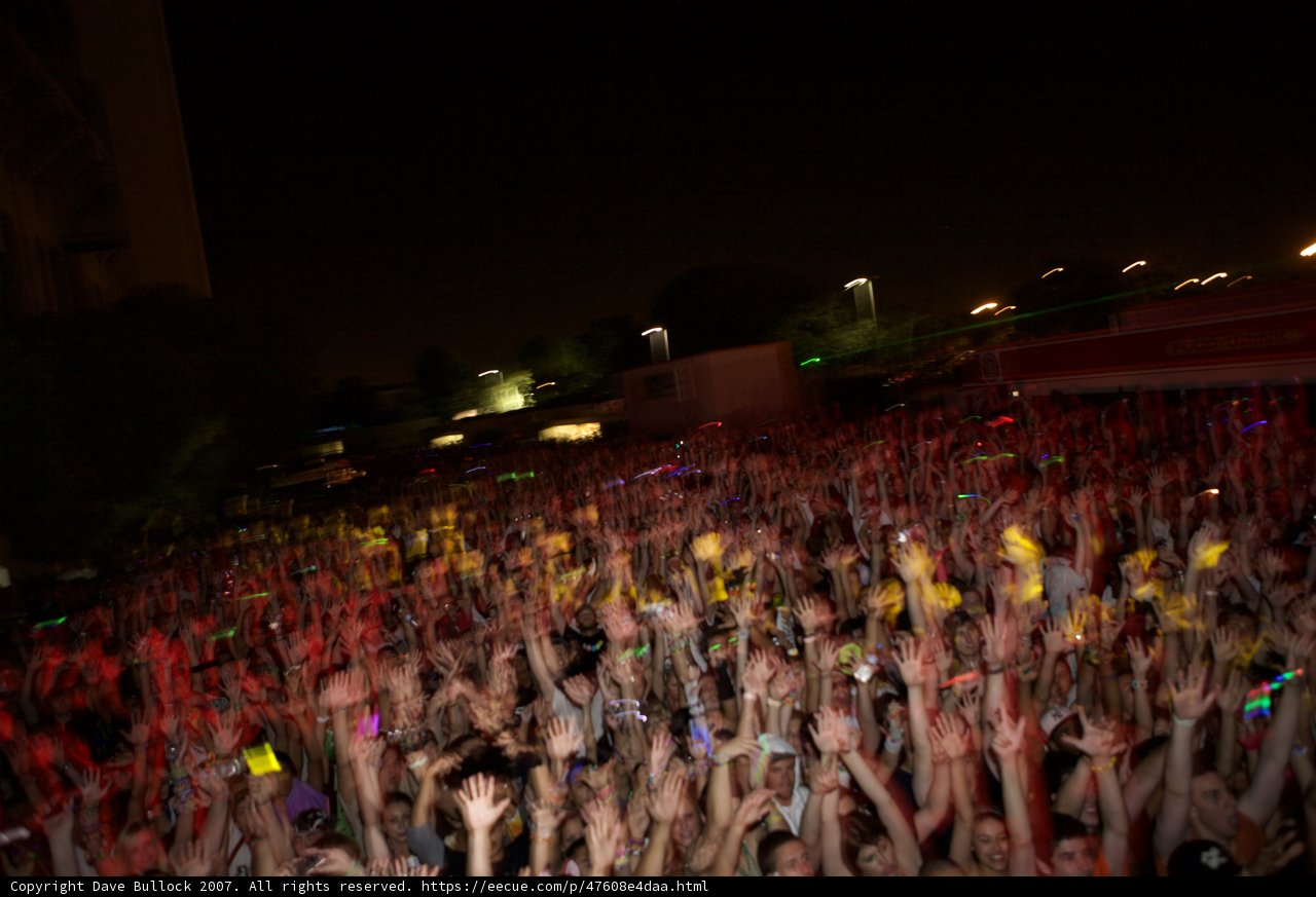 Euphoria Under the Night Sky