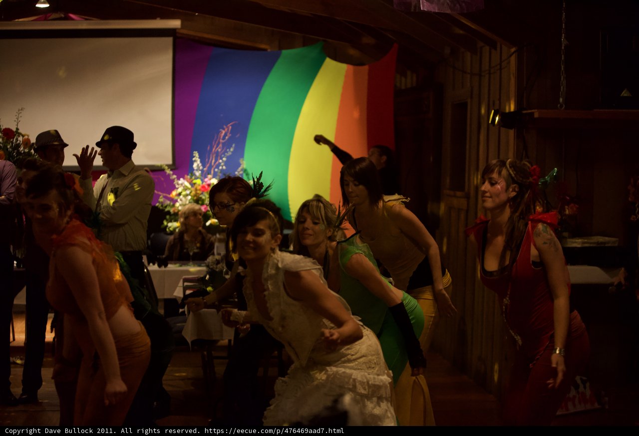 Wedding Party on the Dance Floor