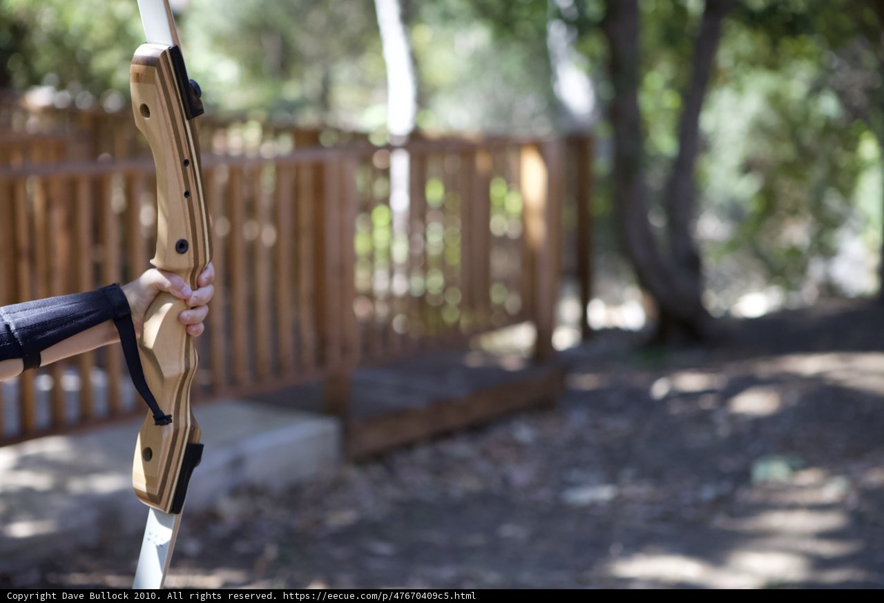 Archery in the Woods