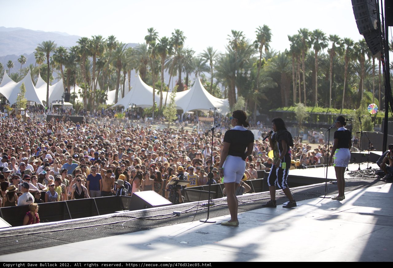 Festival Fever