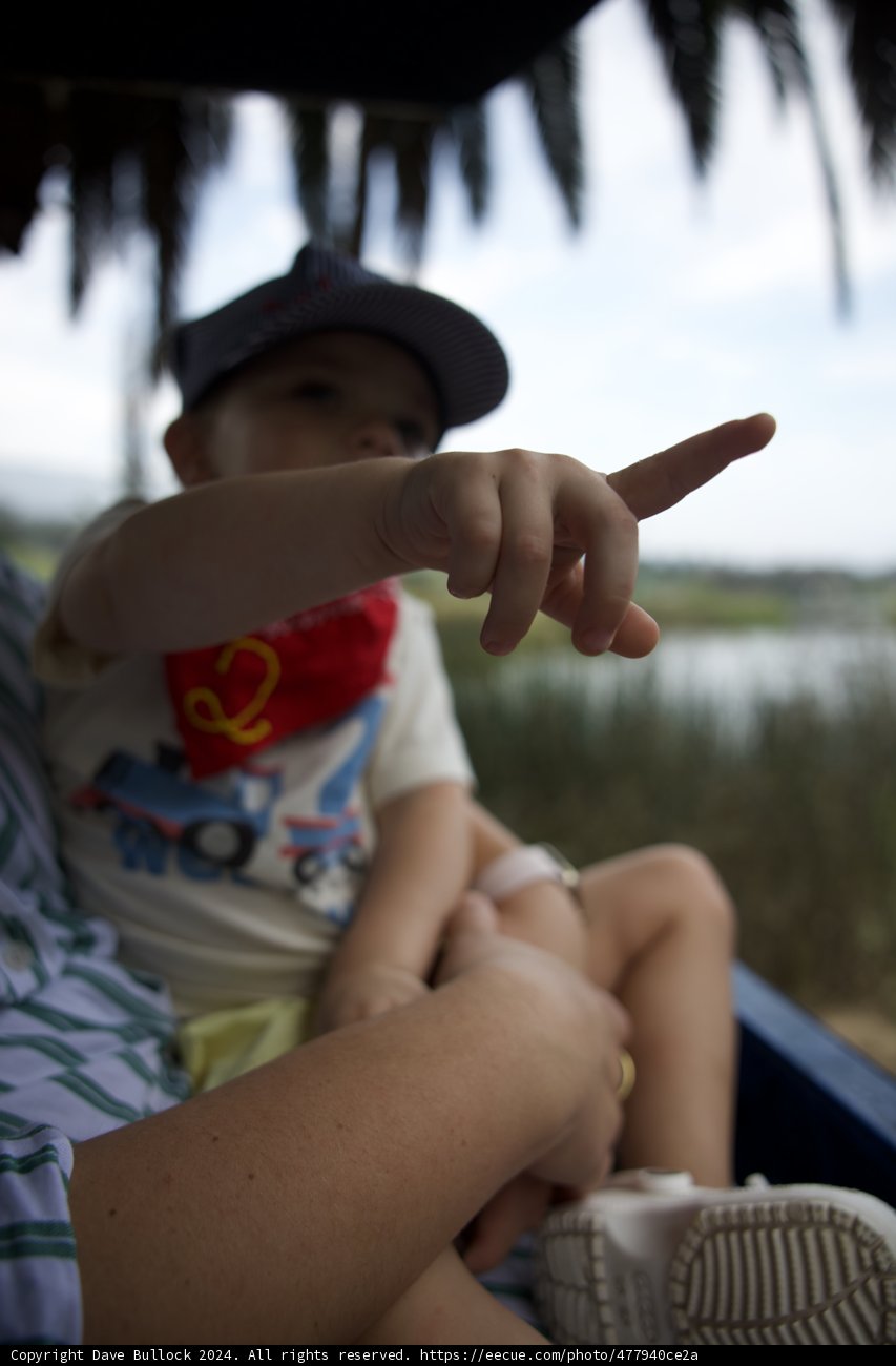 Wesley's World of Wonder