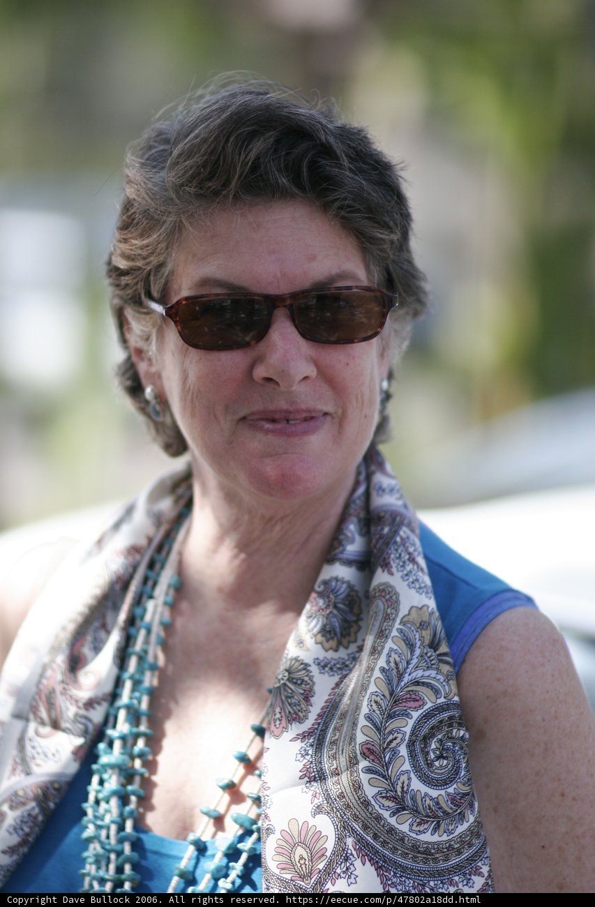 Stylish Woman with Sunglasses and Scarf