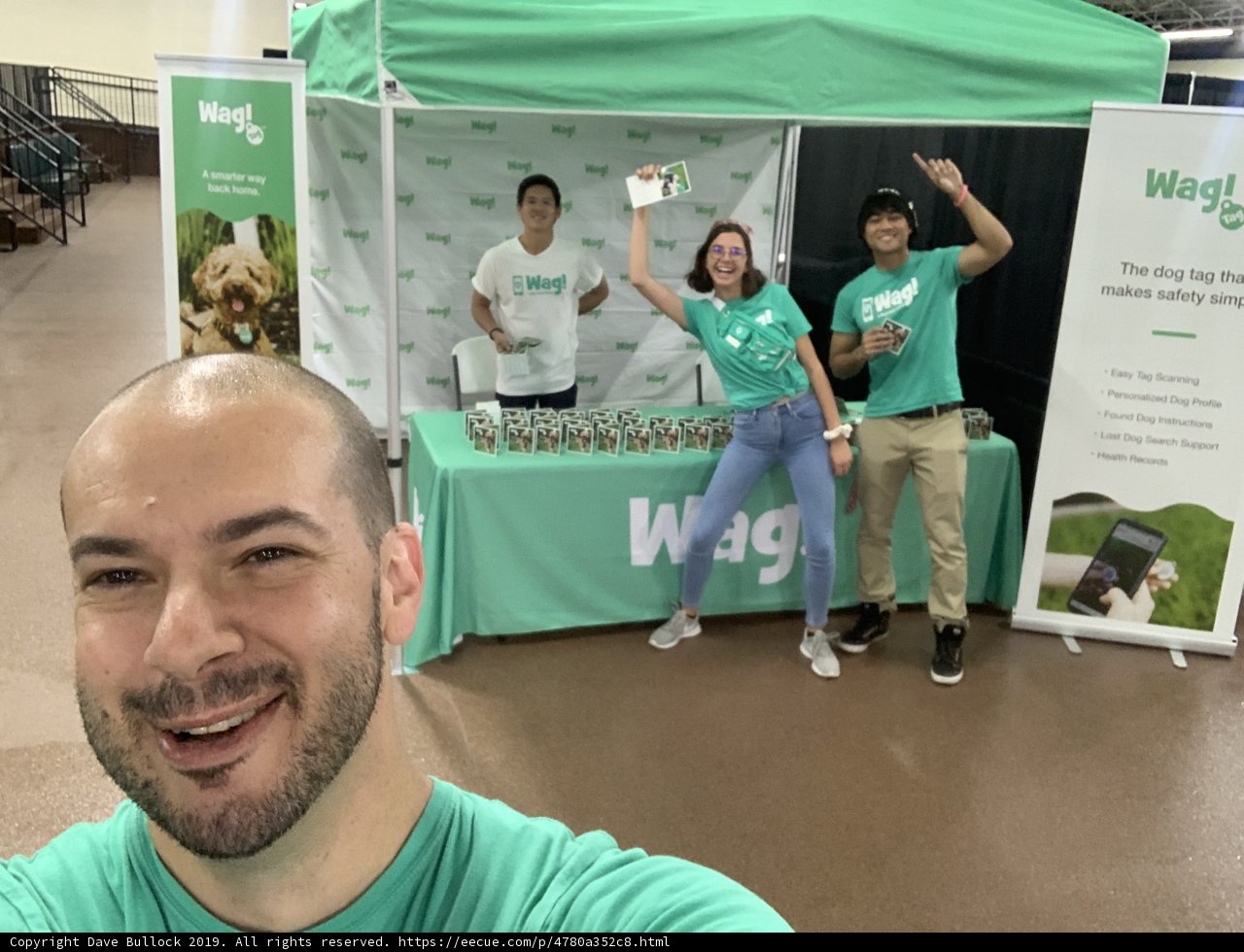 Wiggles Steals the Show at the National Dog Show