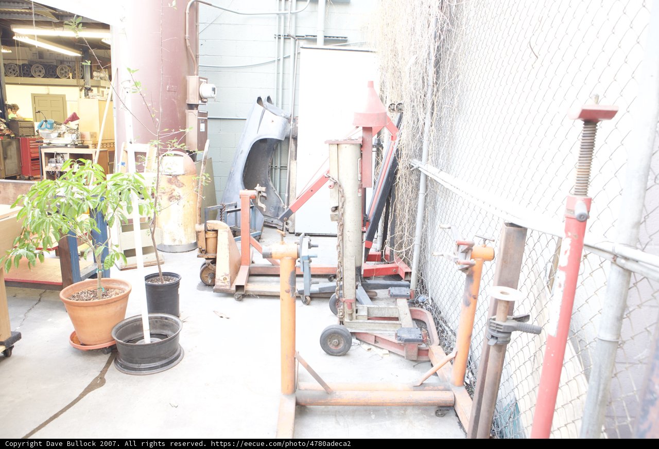 Yard Tools and a Decorative Tree
