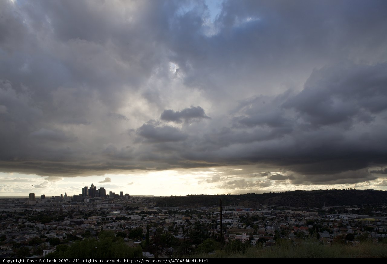 Cumulus Clouds over a Coastal Metropolis