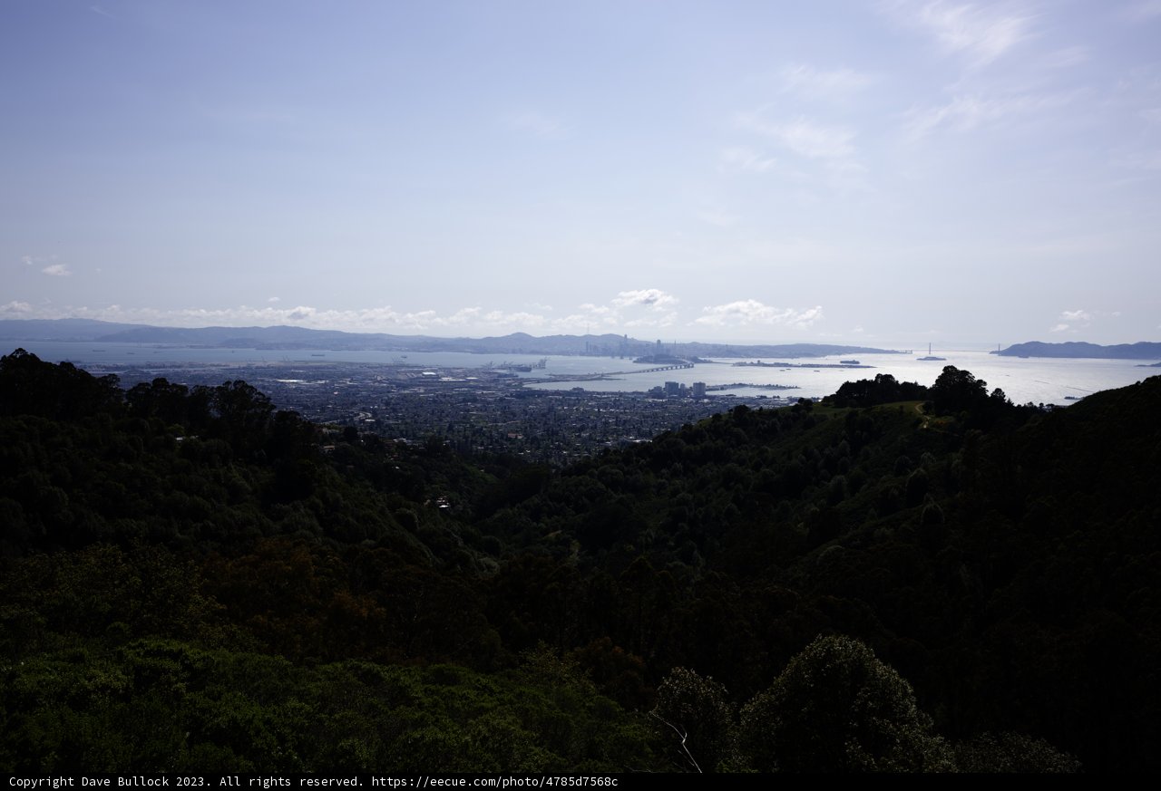 A Hillside Haven in Berkeley