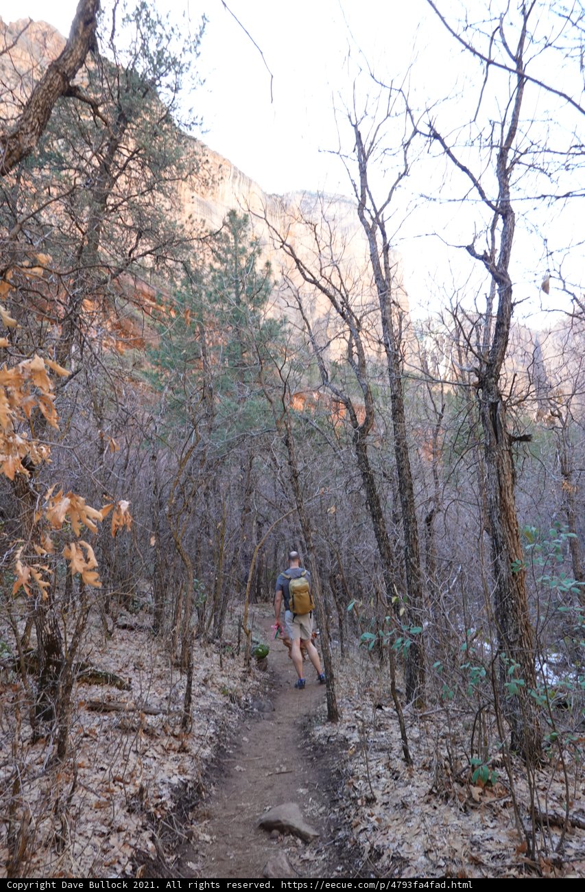 Into the Wilderness