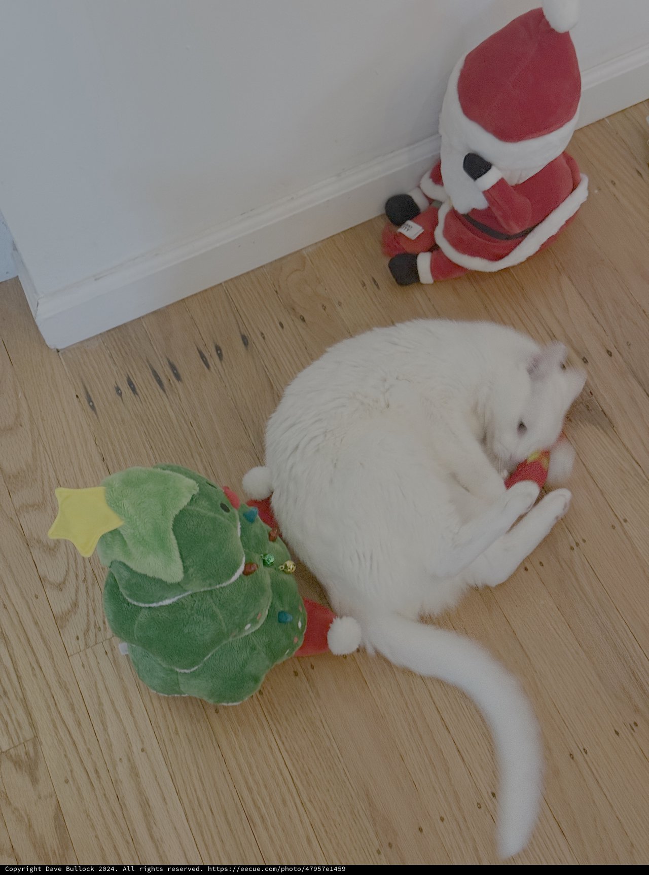 White Cat Playing with Christmas Tree Toy