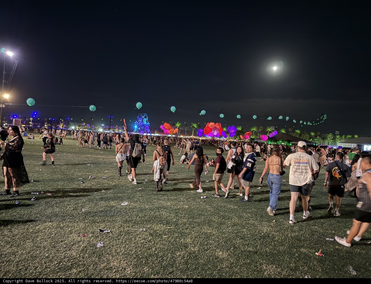 Moonlit Festival Vibes