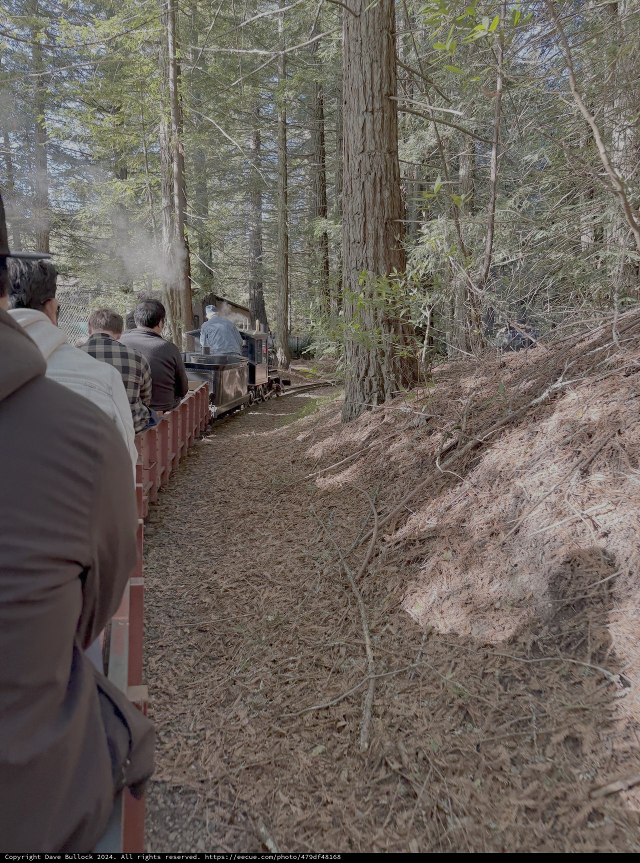 Vintage Steam Train Journey Through Forest
