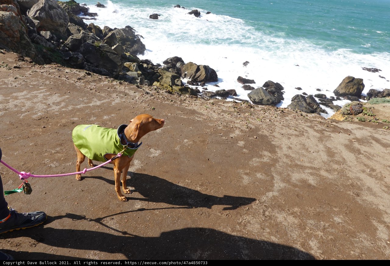 Walking with My Best Friend