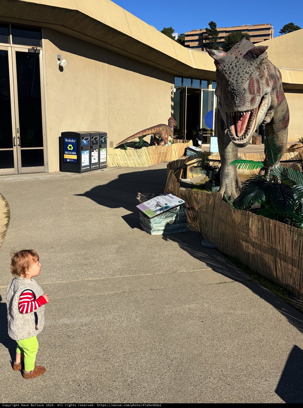 Child Encounters Life-Size T-Rex Display at Museum