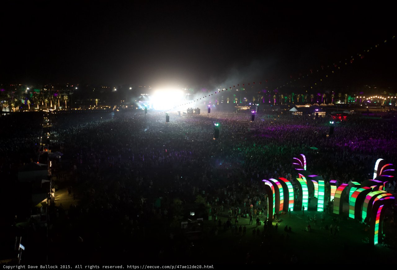 Electric Night in the Urban Jungle