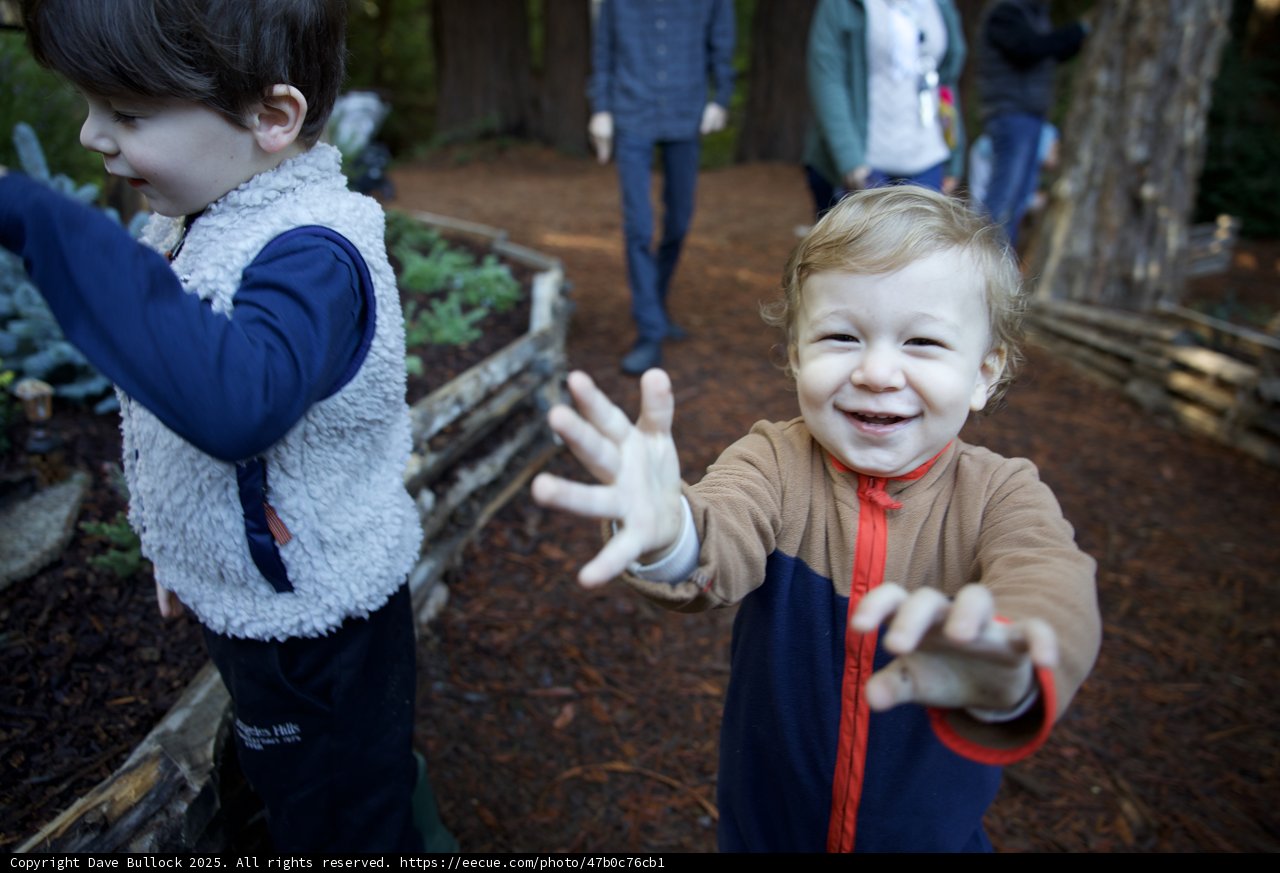 Heartfelt Joy at Thistlewyck Gardens