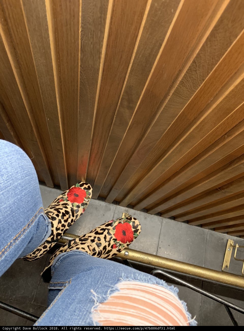 Leopard Print Boots with Red Flower