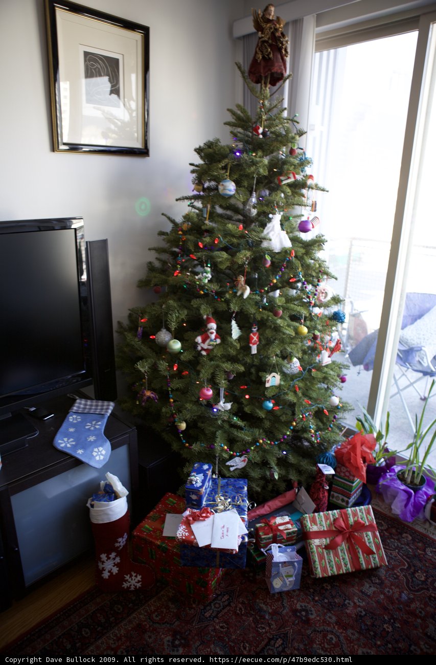 A Festive Fir in the Living Room