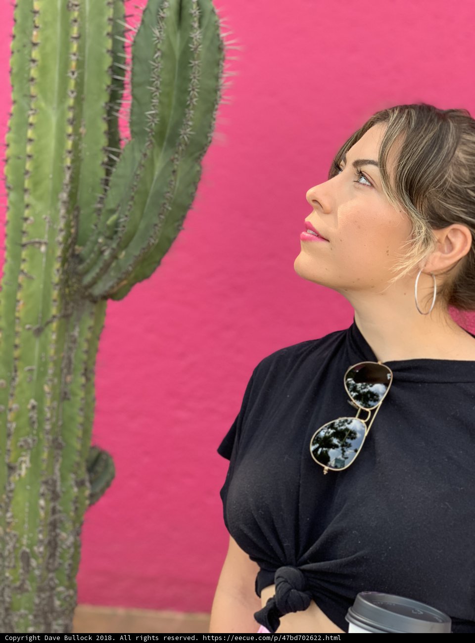 Desert Chic