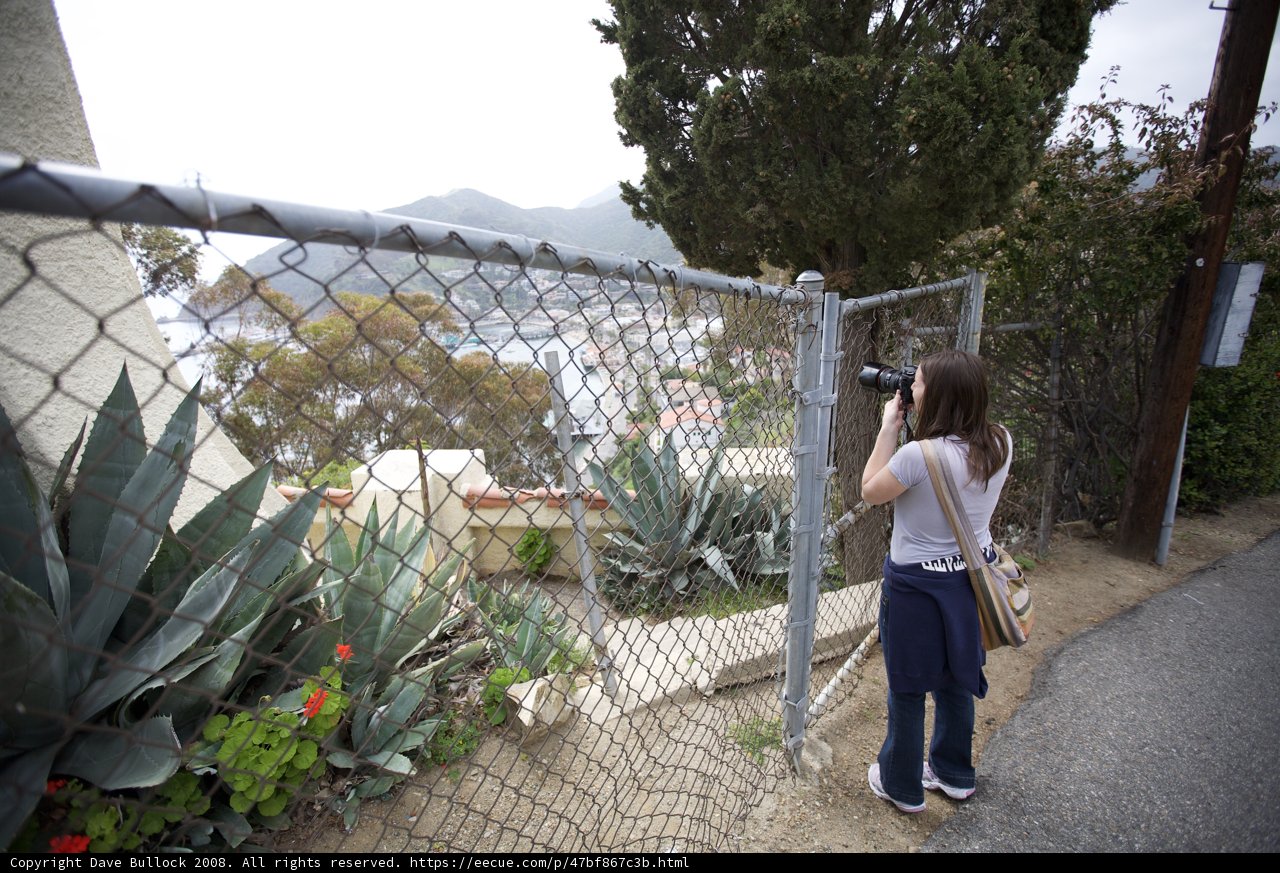 Capturing the Beauty of Nature and Foliage