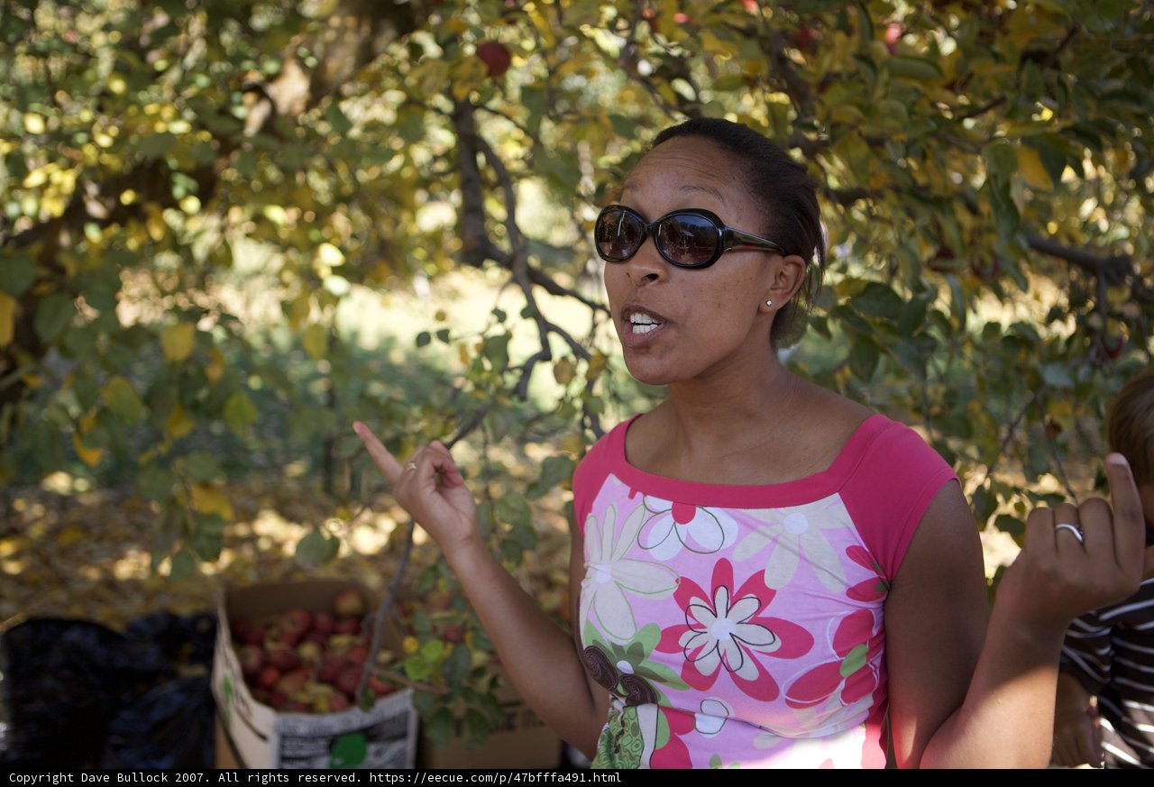 Apple Picking in Style