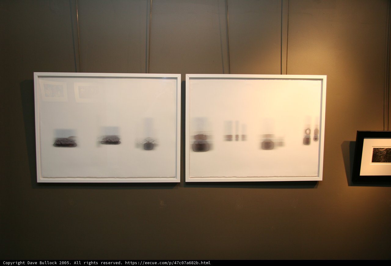 Dual Artistic Masterpieces