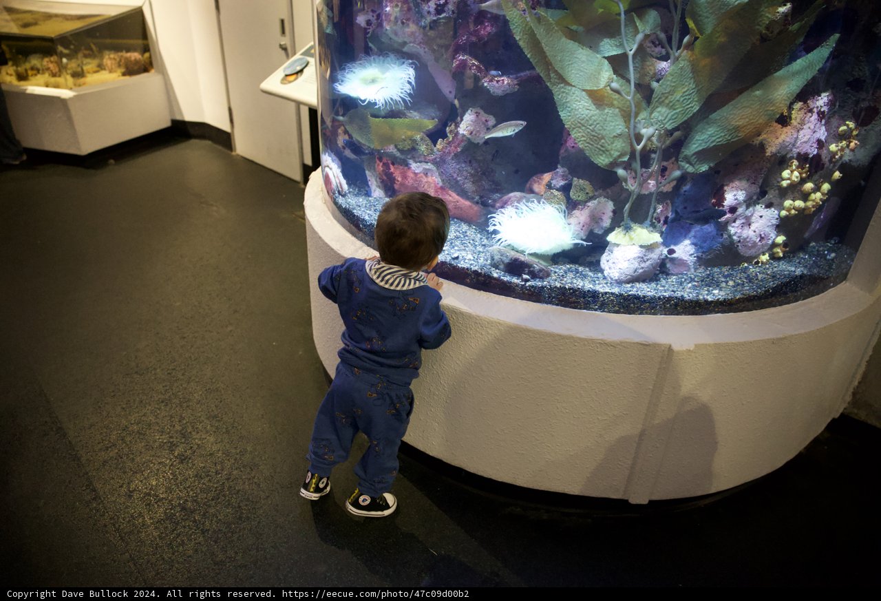 Curiosity Beneath the Surface