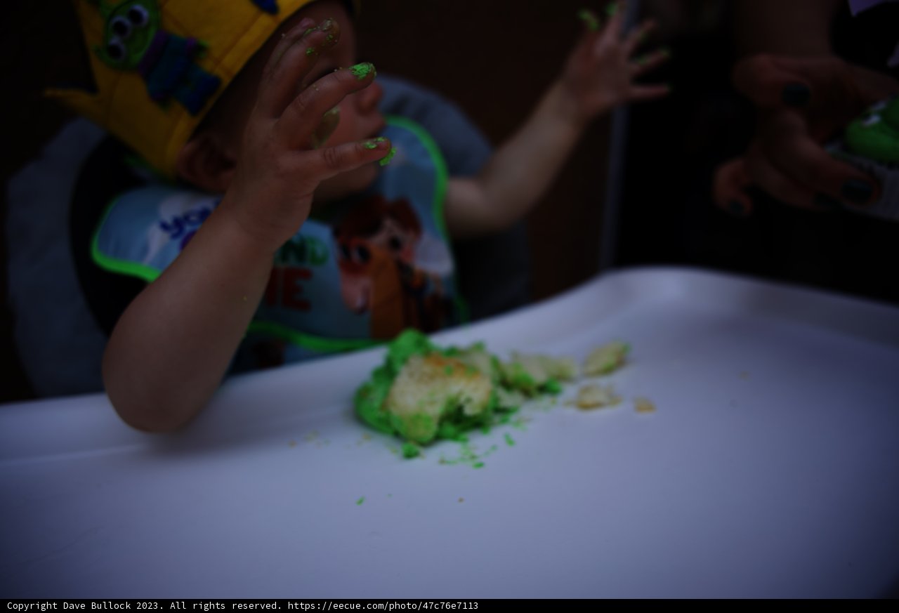 Wesley's 1st Birthday Bash