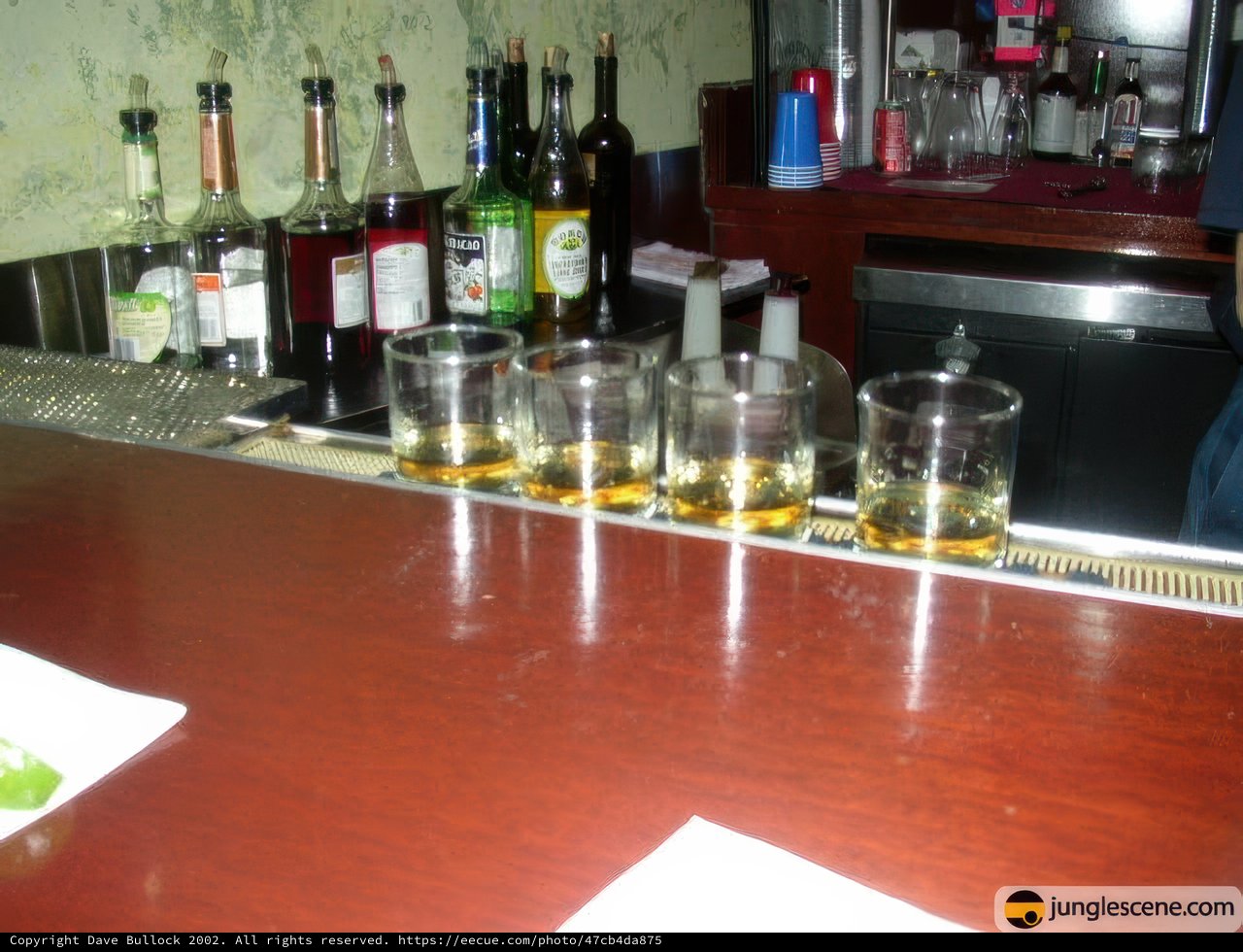 Whiskey on the Rocks at the Local Pub