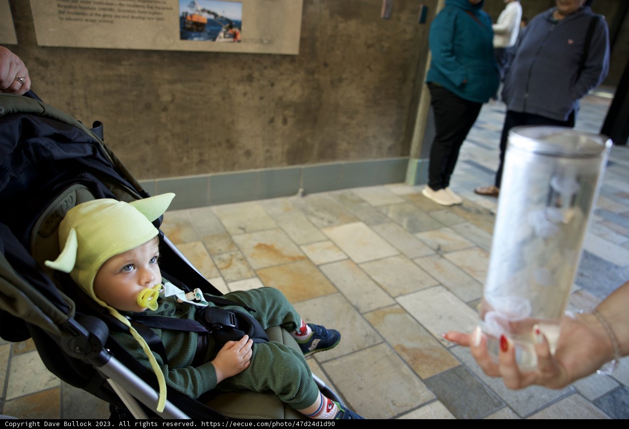 Family Day Out at Monterey Bay Aquarium