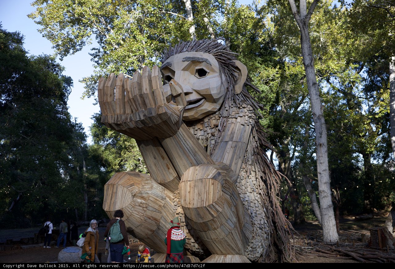 Whimsical Giant in the Woods