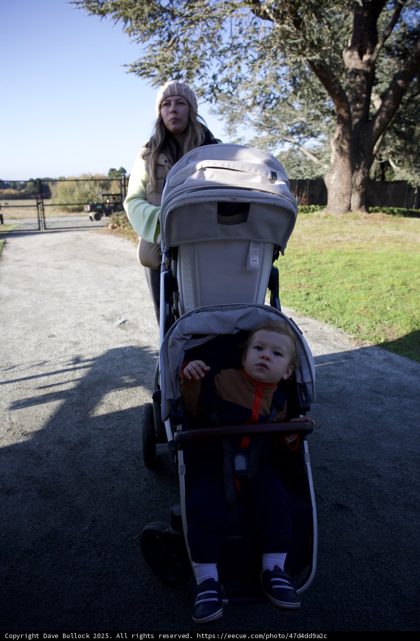 Afternoon Stroll at Thistlewyck