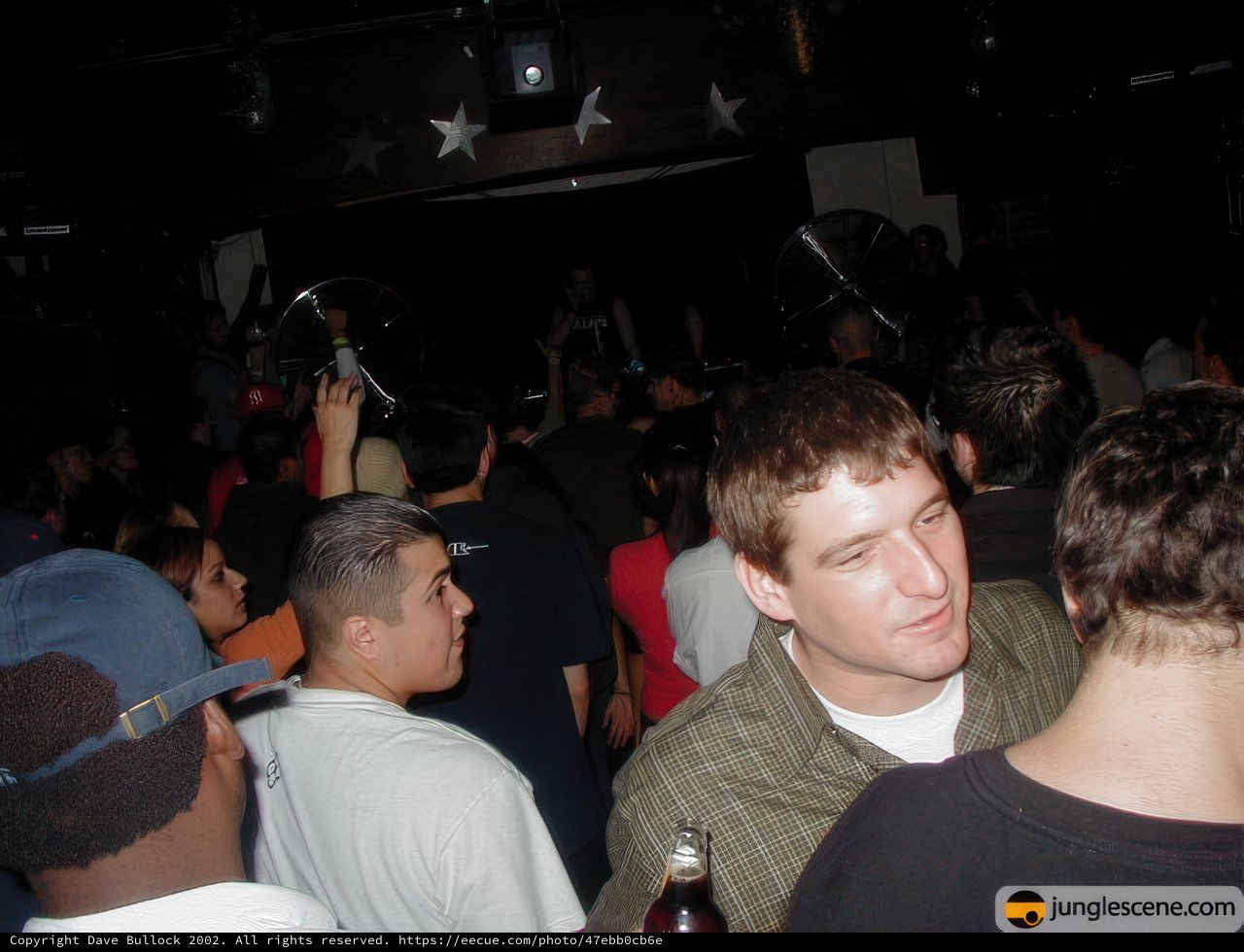 Nightlife Gathering