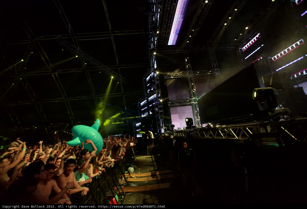 Dolphin Makes a Splash at Coachella Concert