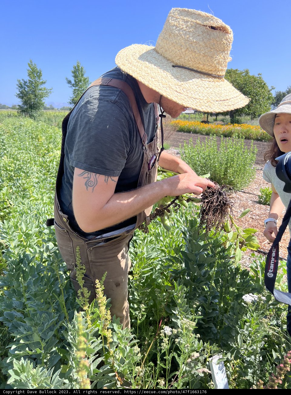 Embracing the Green in Sonoma: A Man's Journey in Regenerative Gardening