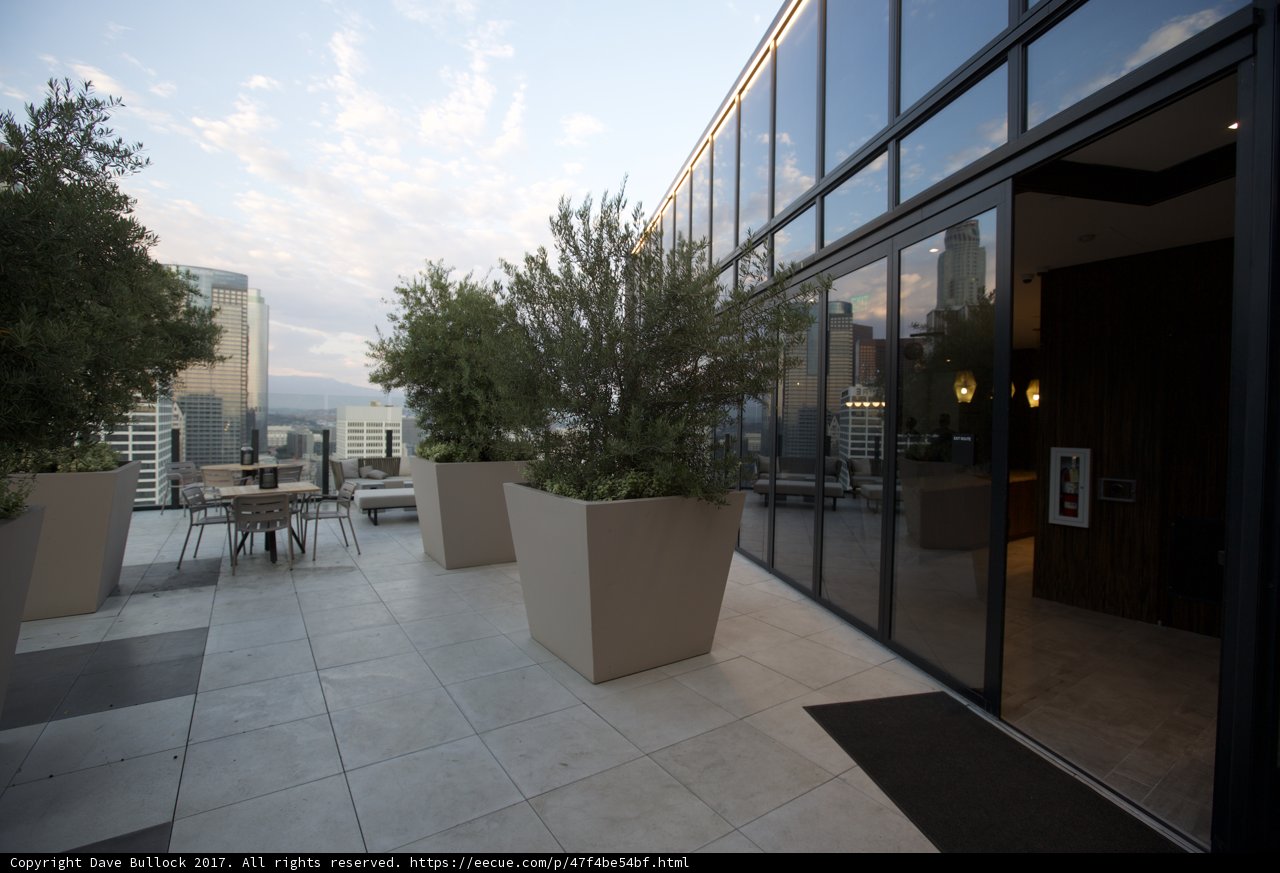 Rooftop View of the Cityscape