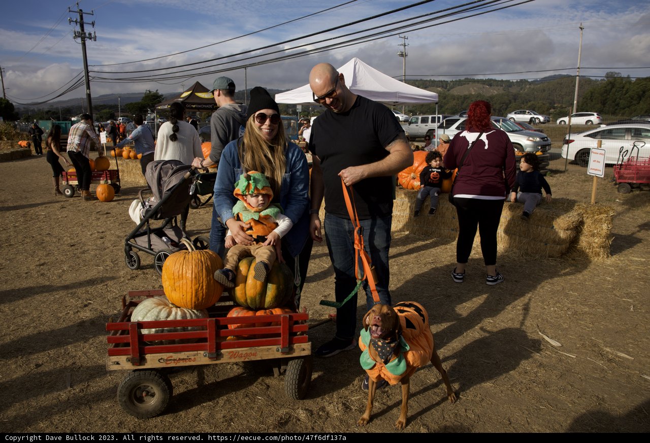 Family Festivities at the Halfmoon Bay Pumpkin Patch