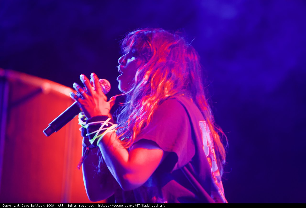 Rocking the Crowd at Coachella 2009