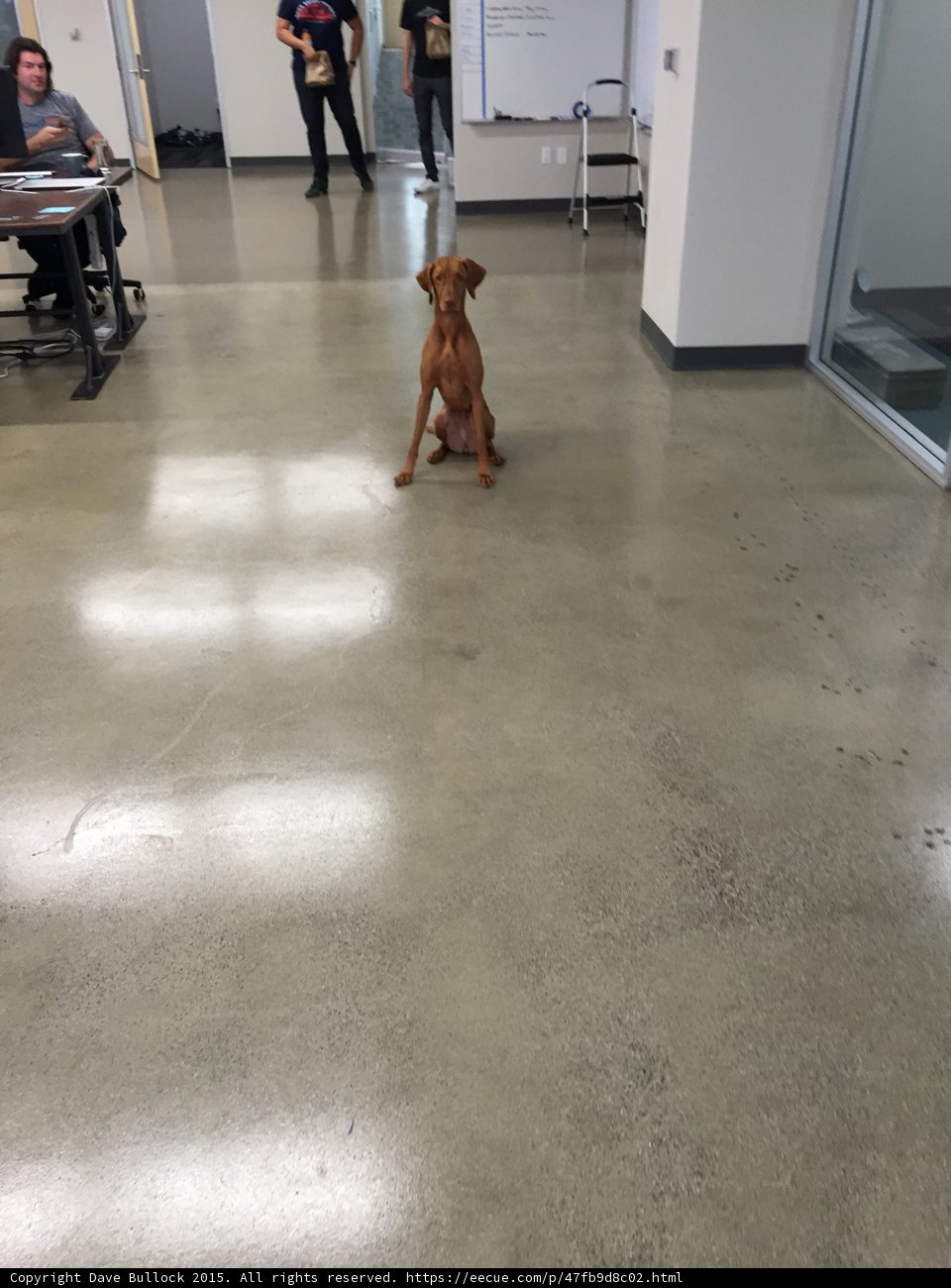 Office Assistant
