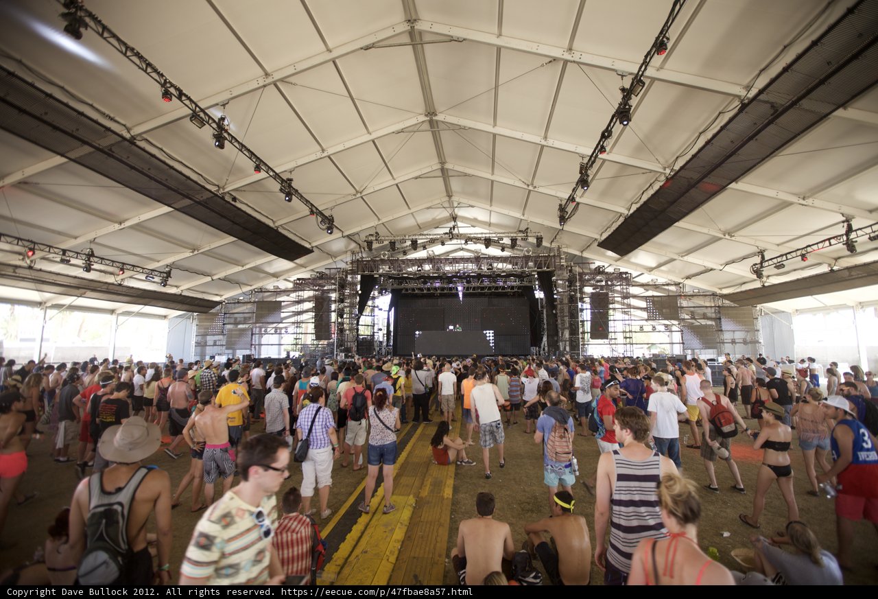Festival Fever