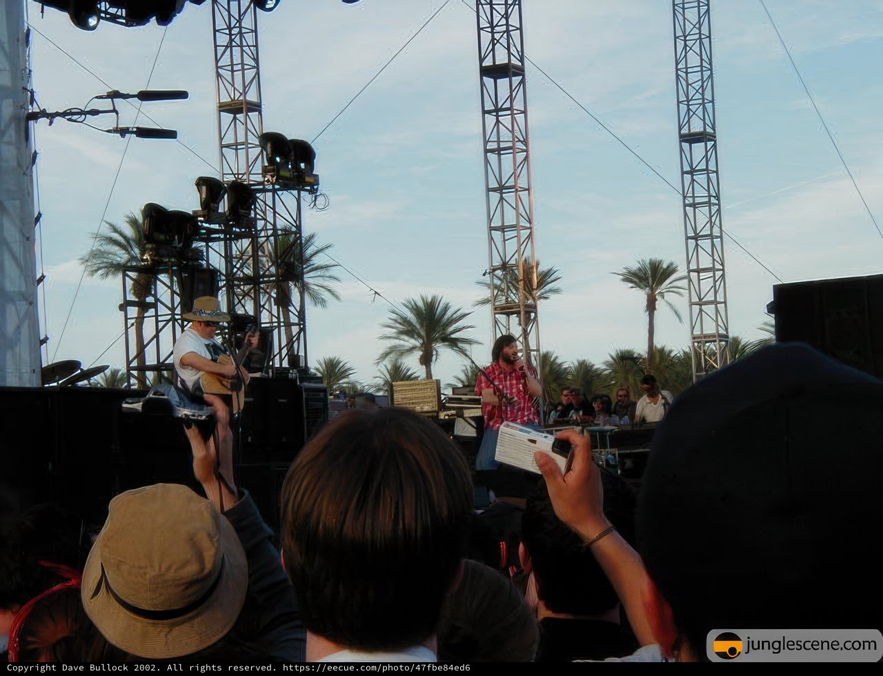 Guitar Solo under Palm Trees