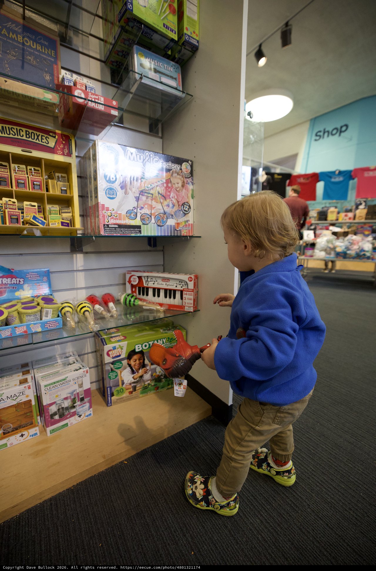 Young Child Browsing Music Toys at Museum Gift Shop