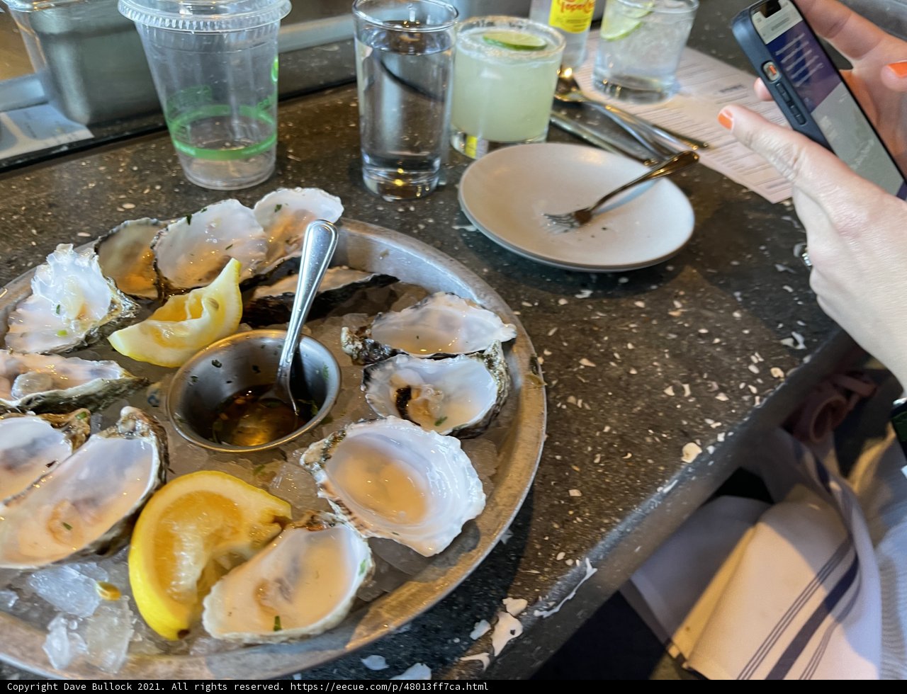 Capturing the Perfect Oyster Shot