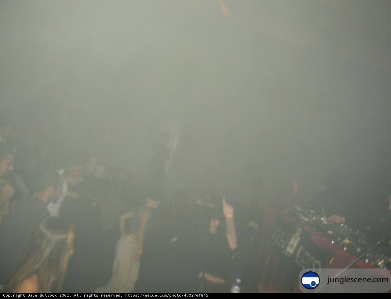 Nightclub Crowd Shrouded in Smoke
