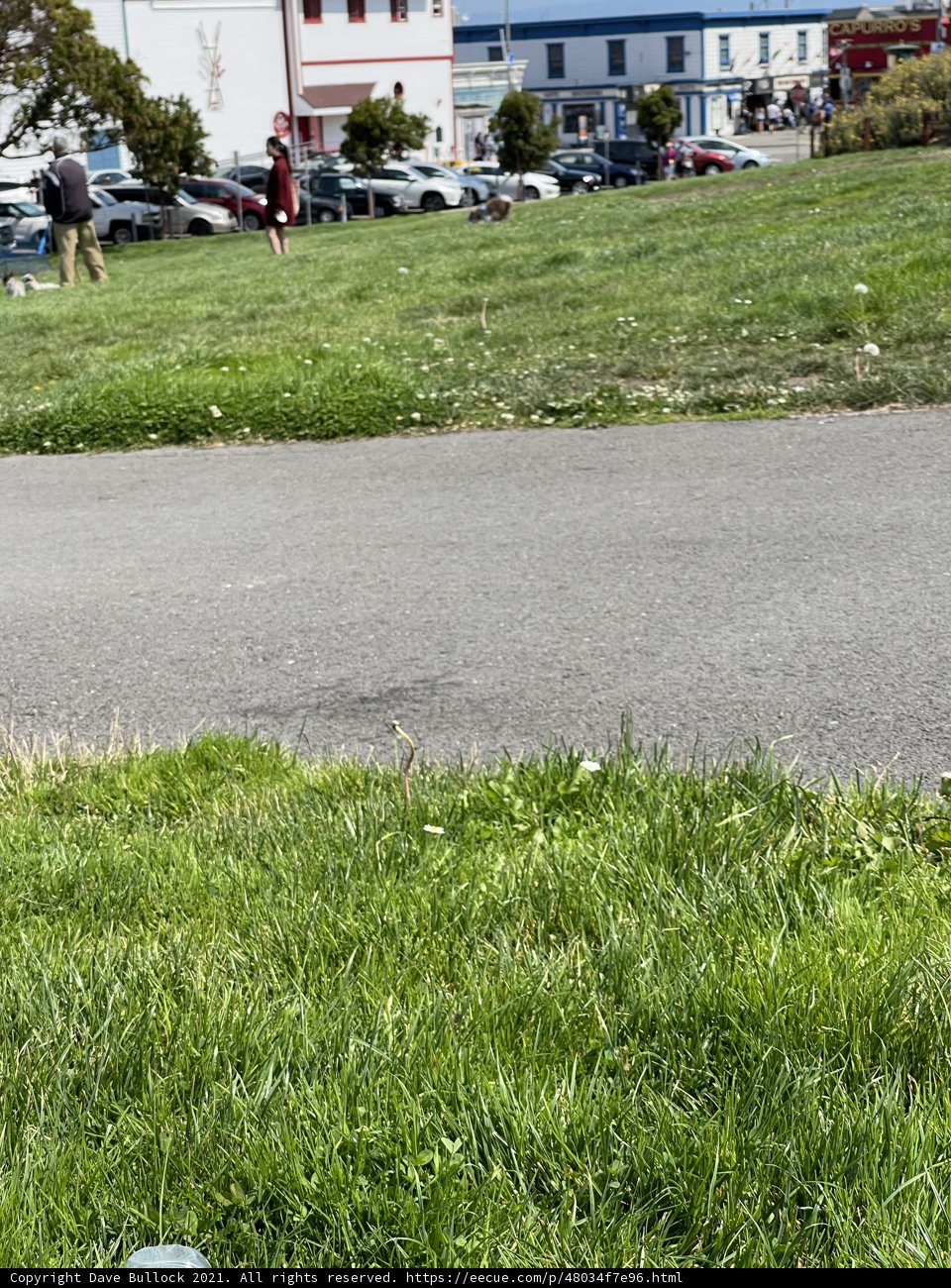 Skateboarding in the City