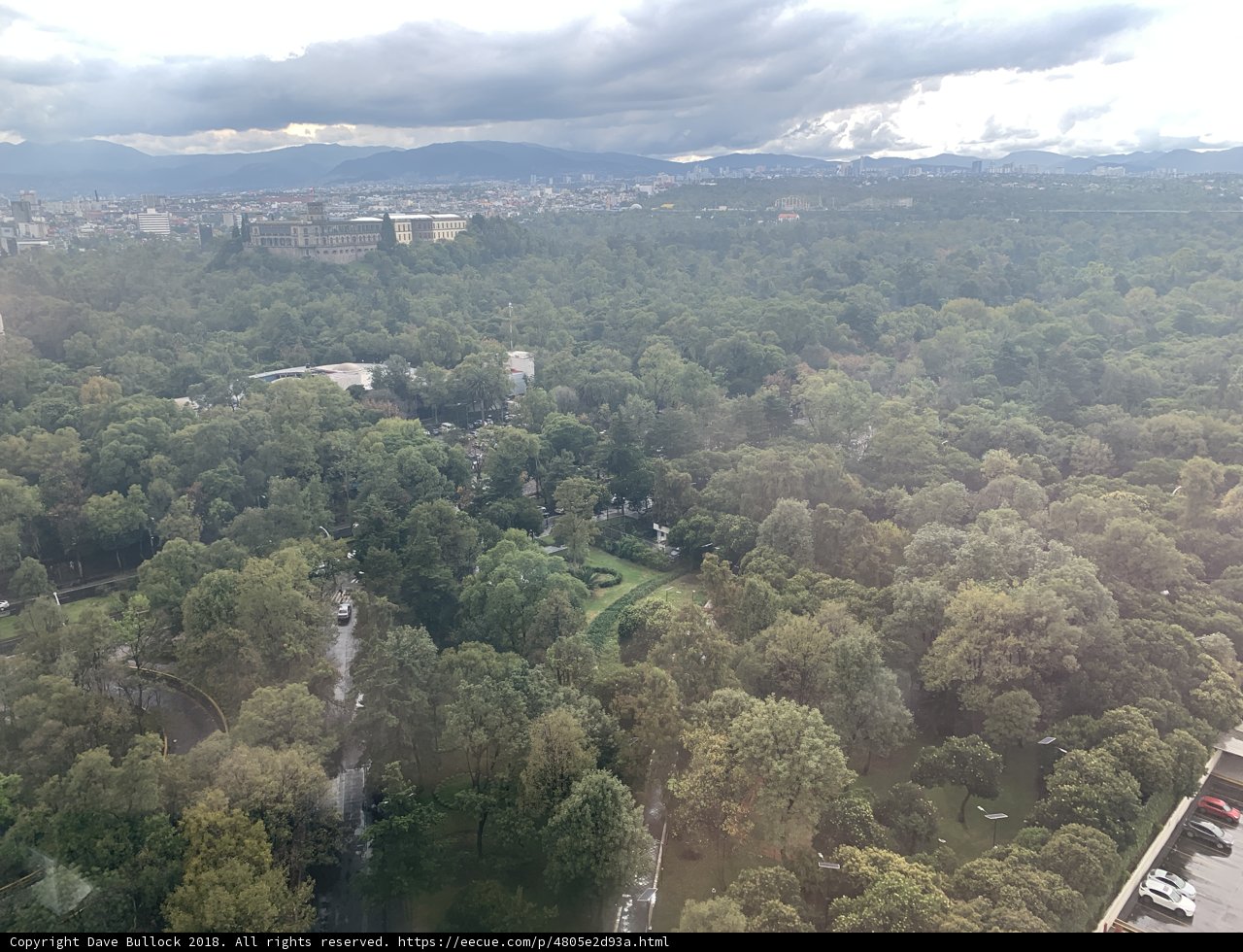 Aerial View of Forest Landscape