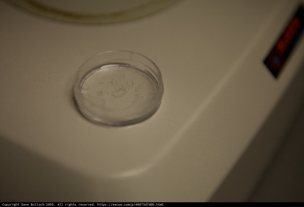 Glass Container for Coins