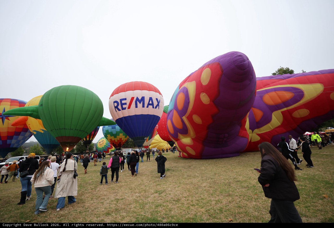 Hot Air Balloons Inflate at Sonoma County Classic