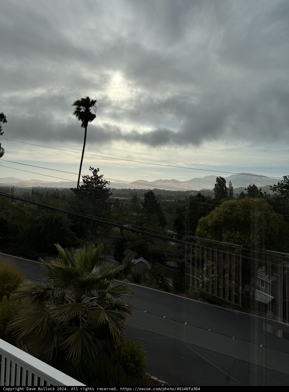 Morning Calm in Walnut Creek