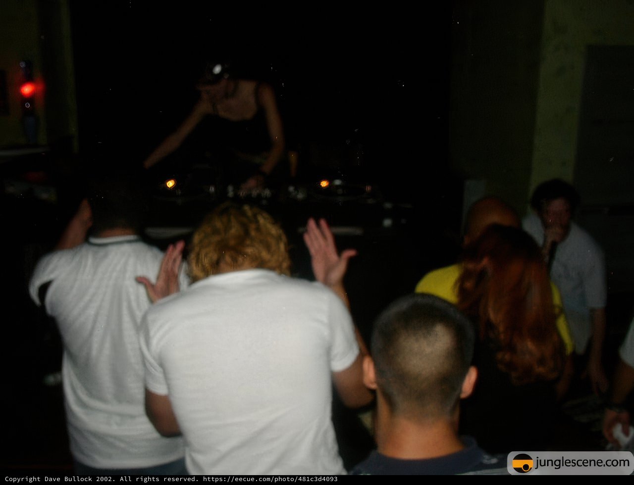 Nightclub DJ in Action
