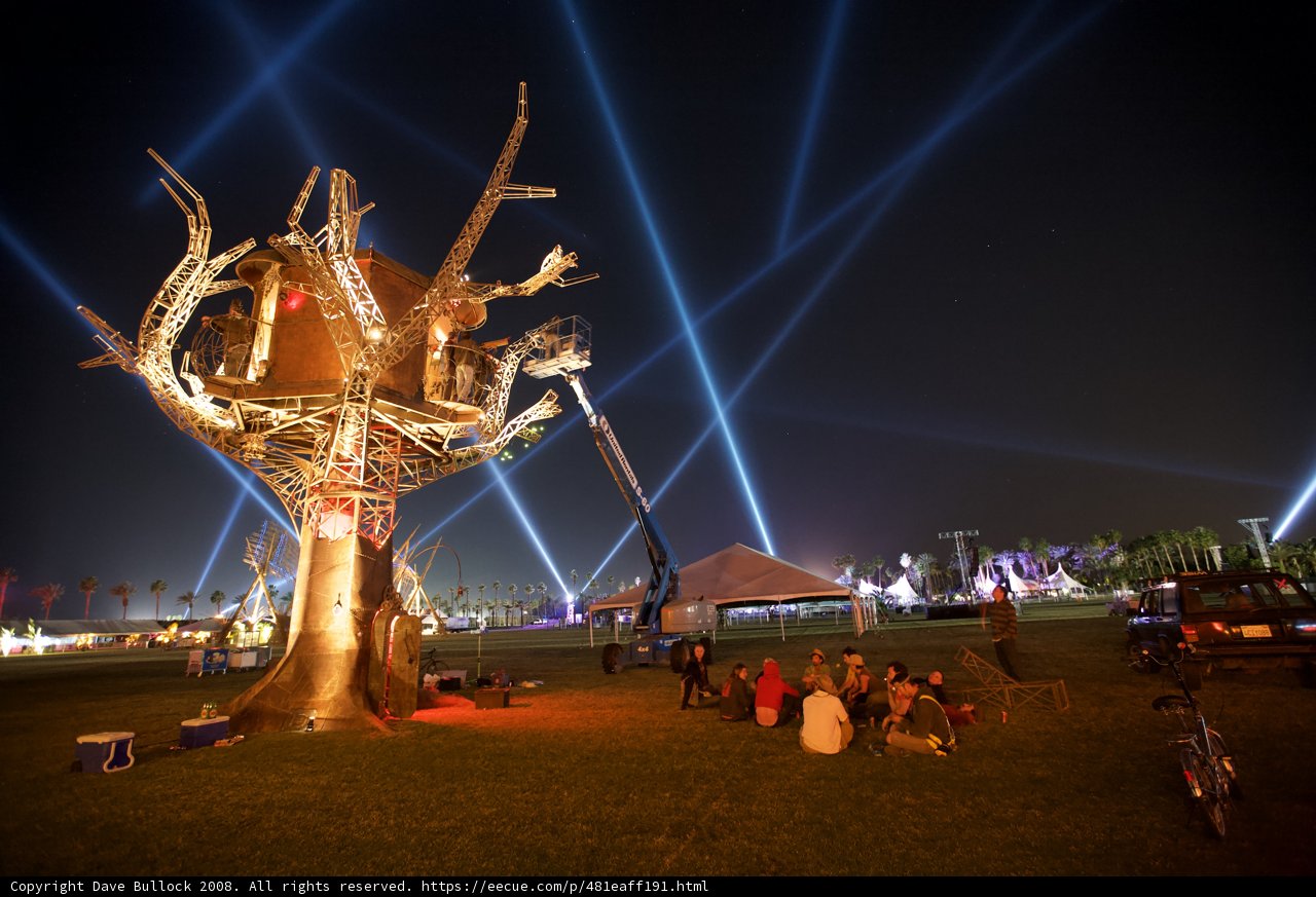 Sparkling Tree Lights and Gathering in the Park
